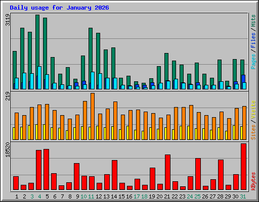 Daily usage for January 2026