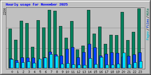 Hourly usage for November 2025
