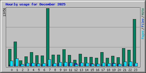Hourly usage for December 2025