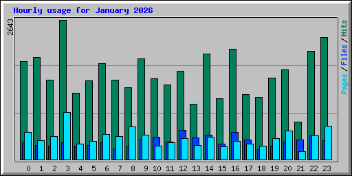 Hourly usage for January 2026