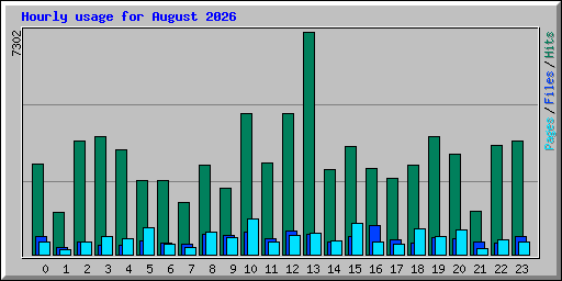 Hourly usage for August 2026